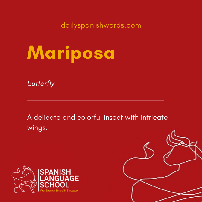 A Spanish Word a Day –  Mariposa