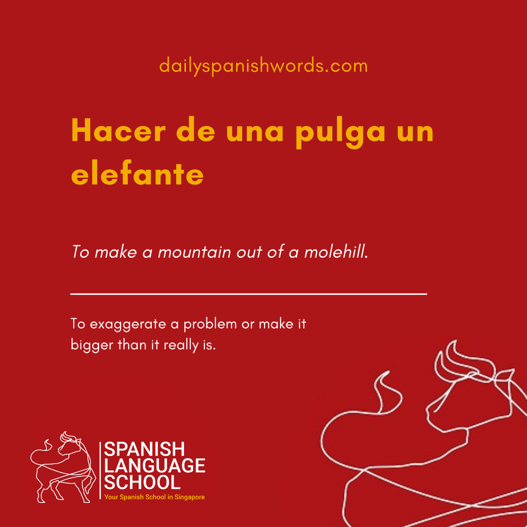 Spanish Idiom of the day! – Hacer de una pulga un elefante.