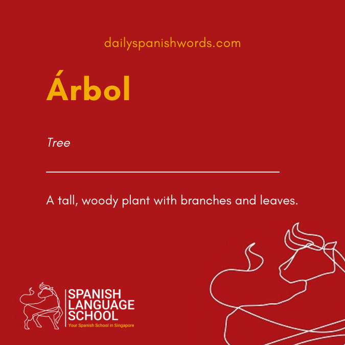 A Spanish Word a Day –  Árbol