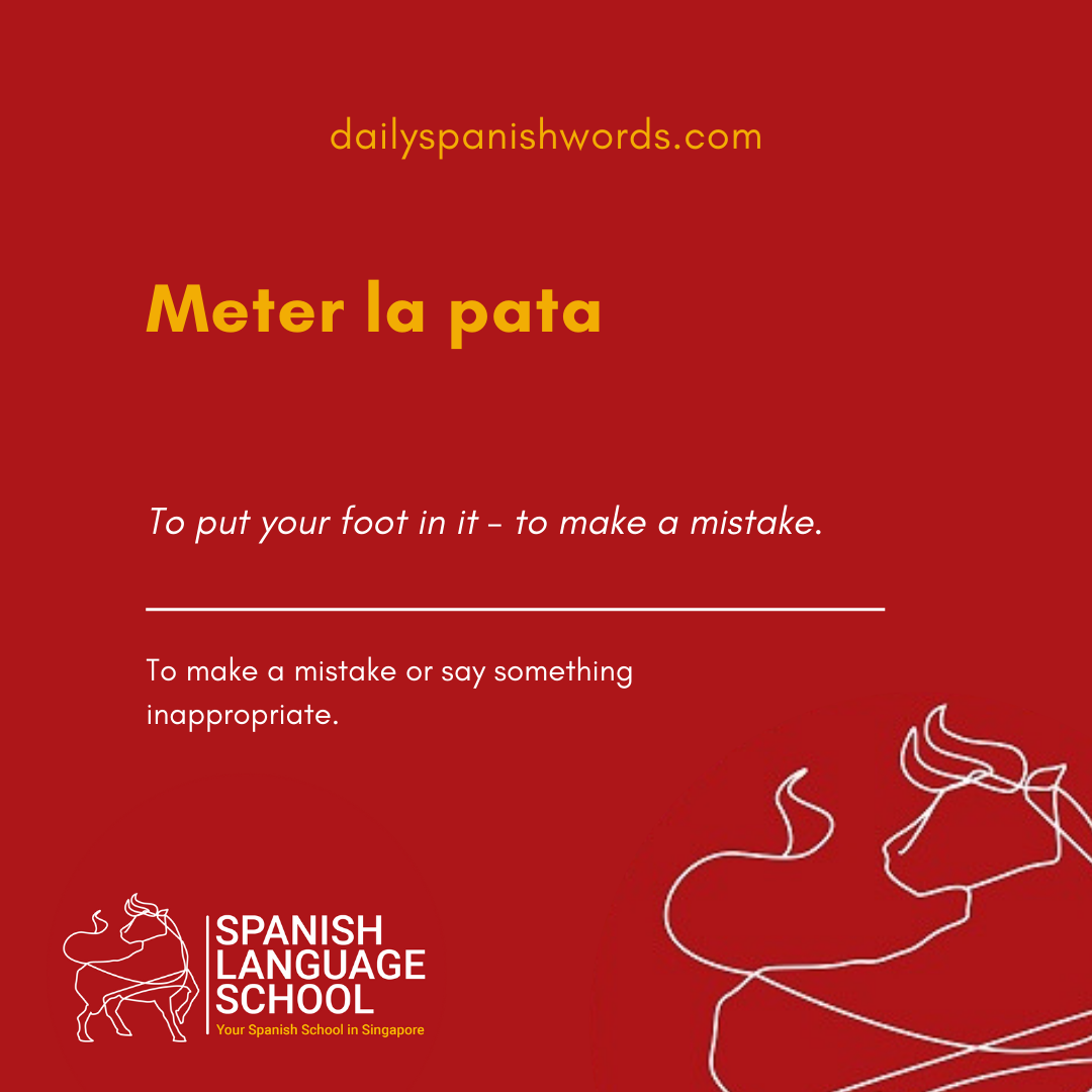 Spanish Idiom of the day! – Meter la pata.