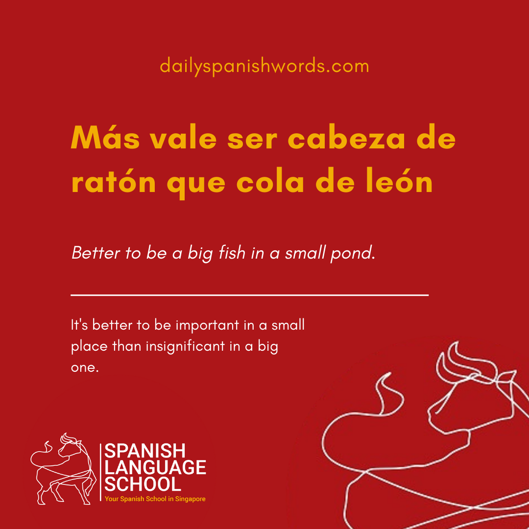 Spanish Idiom of the day!