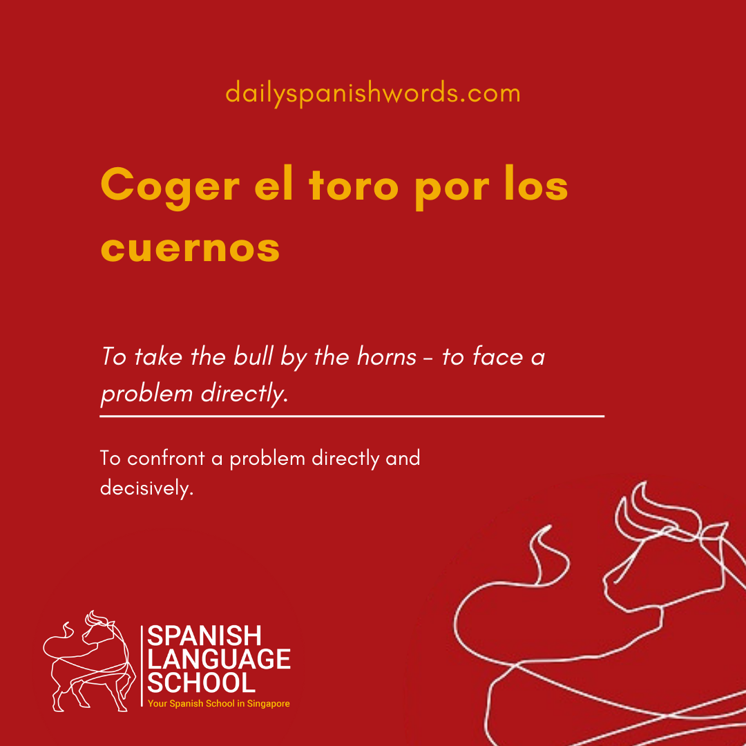 Spanish Idiom of the day! – Coger el toro por los cuernos.