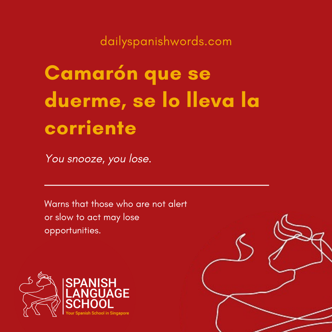 Spanish Idiom of the day! – Camarón que se duerme, se lo lleva la corriente.