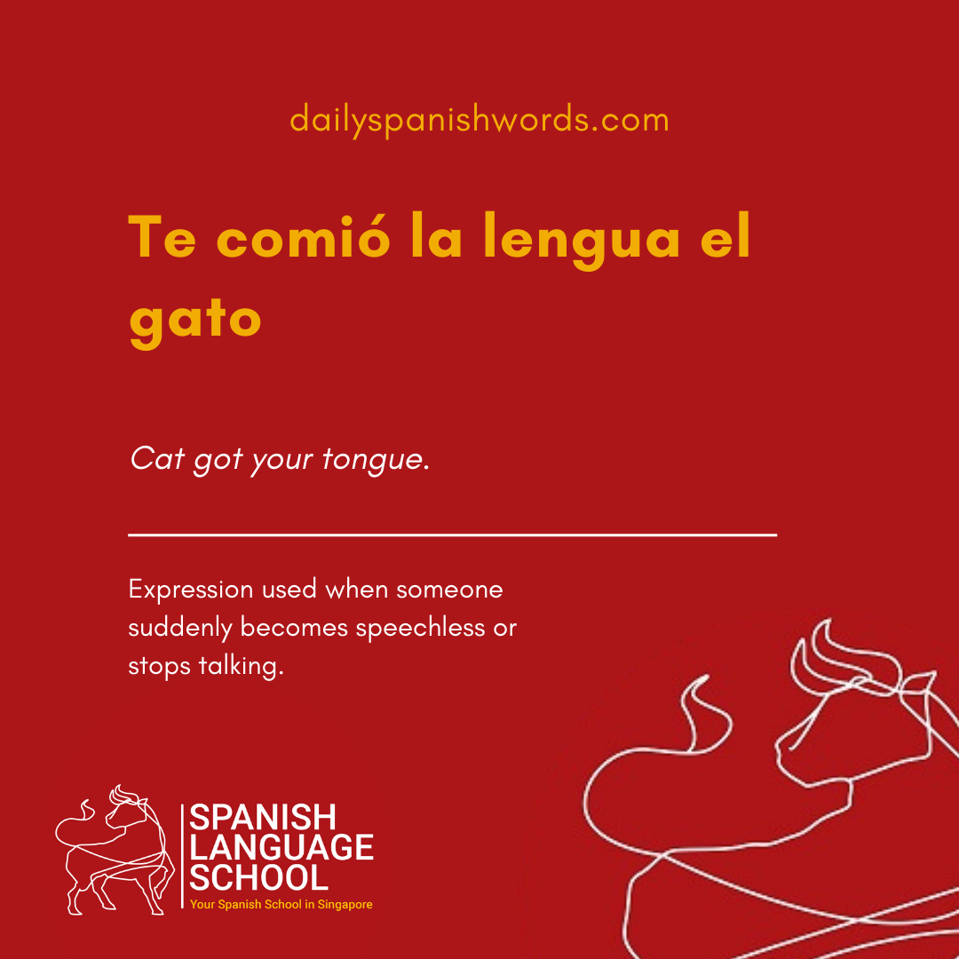 Spanish Idiom of the day! – Te comió la lengua el gato