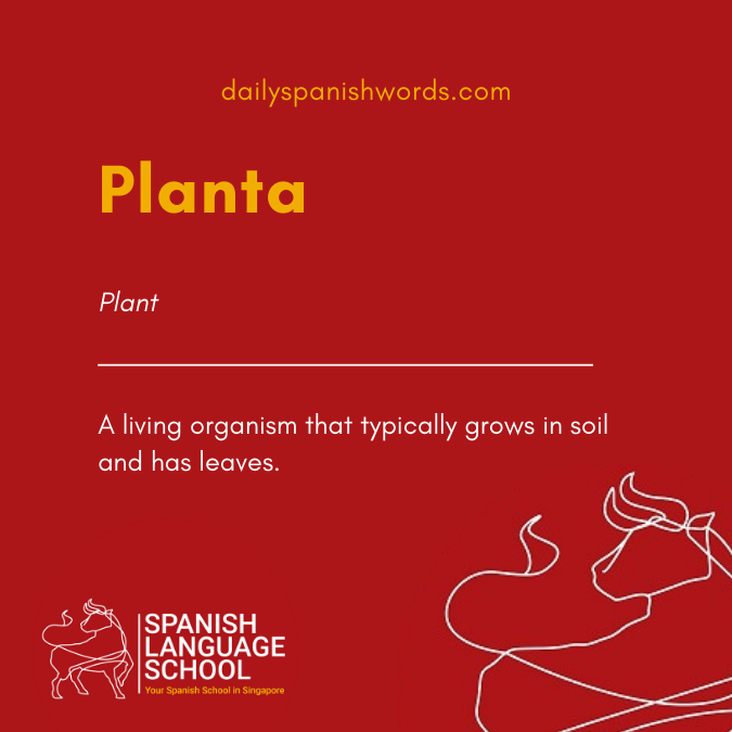 A Spanish Word a Day –  Planta