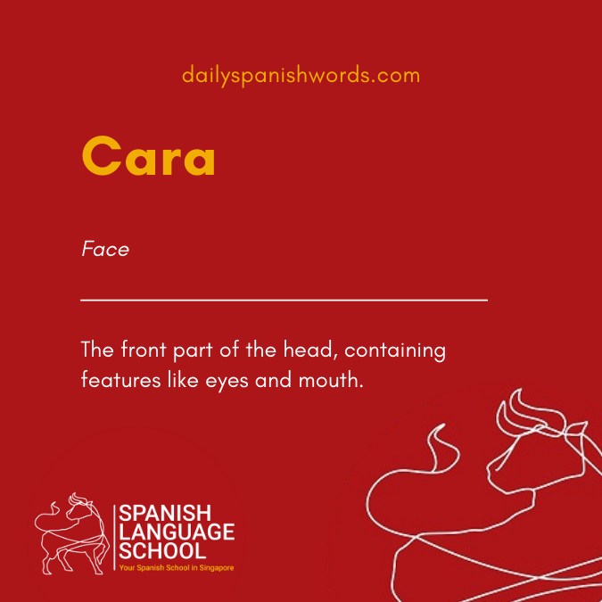 A Spanish Word a Day –  Cara