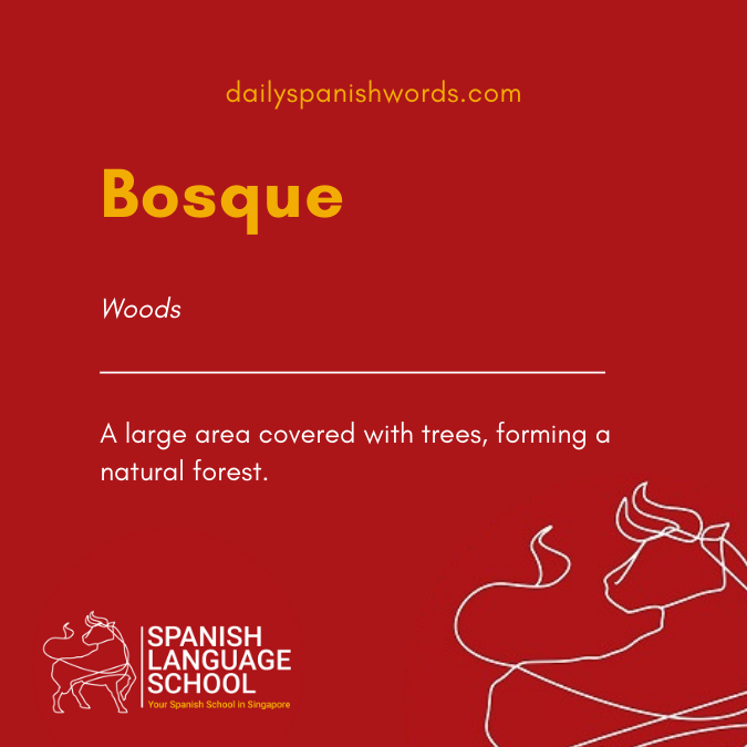 A Spanish Word a Day –  Bosque