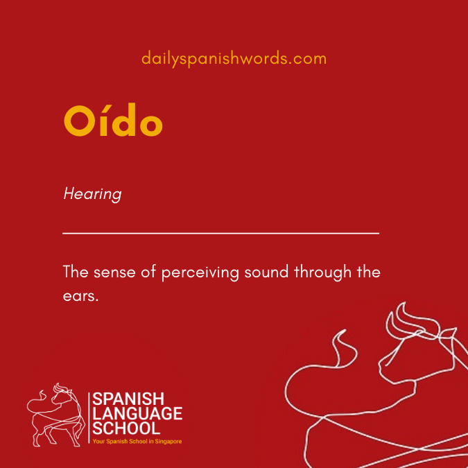 A Spanish Word a Day –  Oído